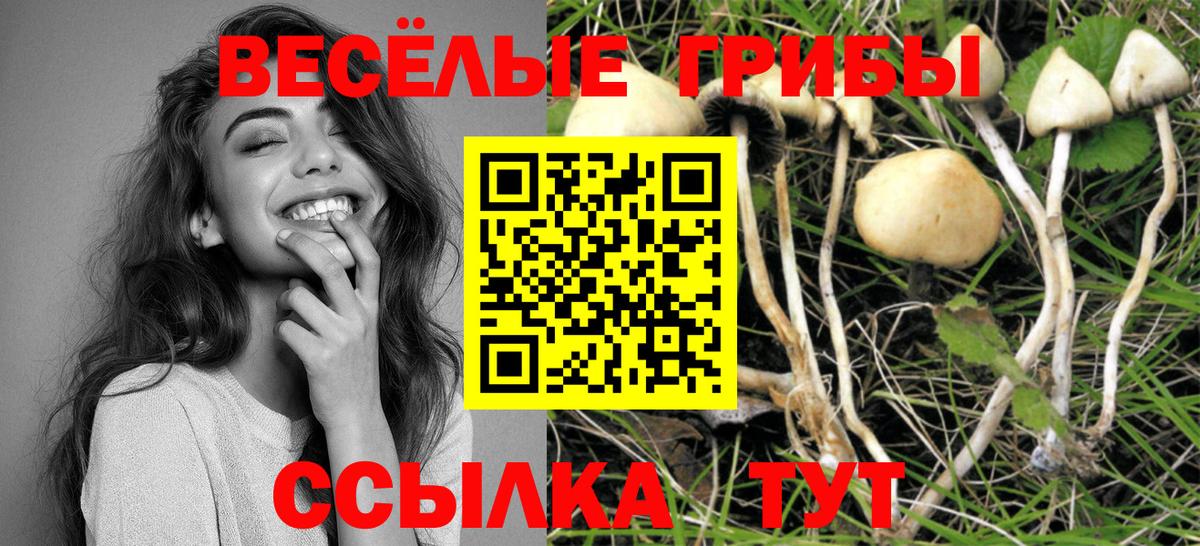 Галлюциногенные грибы Magic Shrooms  Вход с VPN  Чистополь 